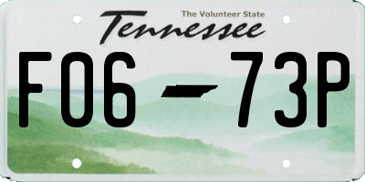 TN license plate F0673P