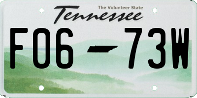 TN license plate F0673W