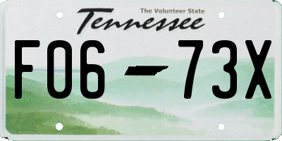 TN license plate F0673X