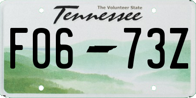 TN license plate F0673Z