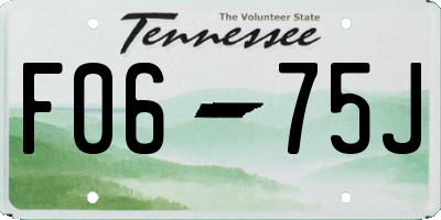 TN license plate F0675J
