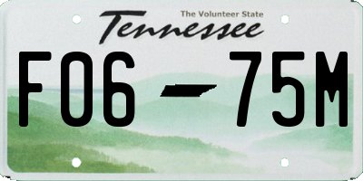 TN license plate F0675M