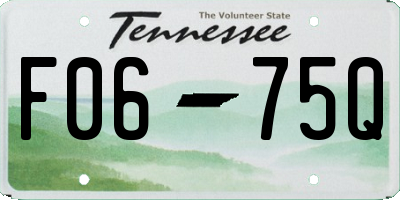 TN license plate F0675Q