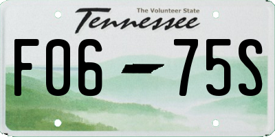 TN license plate F0675S