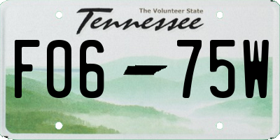 TN license plate F0675W