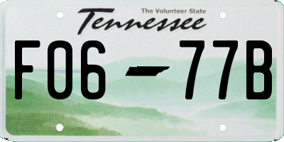 TN license plate F0677B