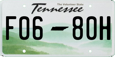TN license plate F0680H