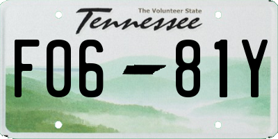 TN license plate F0681Y
