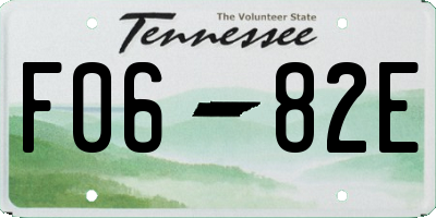 TN license plate F0682E