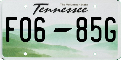 TN license plate F0685G