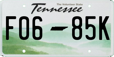 TN license plate F0685K