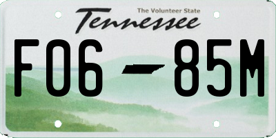 TN license plate F0685M
