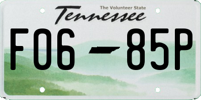 TN license plate F0685P
