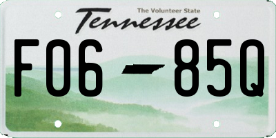 TN license plate F0685Q