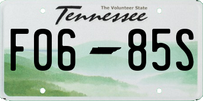 TN license plate F0685S