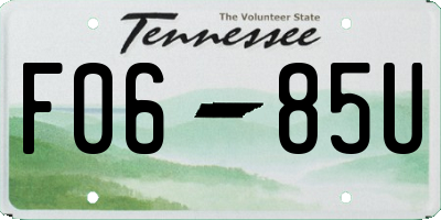 TN license plate F0685U
