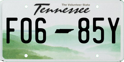 TN license plate F0685Y