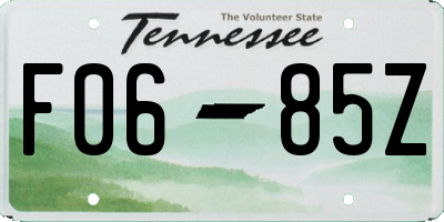 TN license plate F0685Z