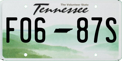 TN license plate F0687S
