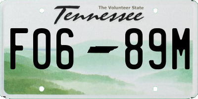 TN license plate F0689M