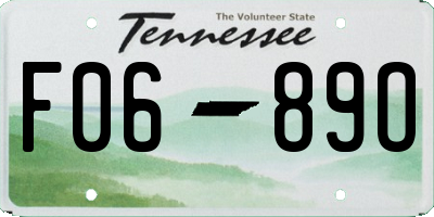 TN license plate F0689O