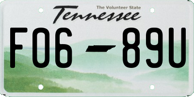 TN license plate F0689U