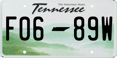 TN license plate F0689W