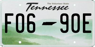 TN license plate F0690E