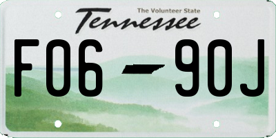 TN license plate F0690J