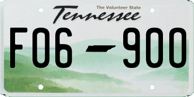TN license plate F0690O