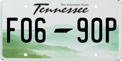TN license plate F0690P