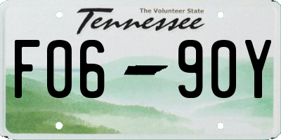 TN license plate F0690Y