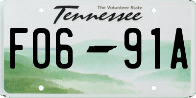 TN license plate F0691A