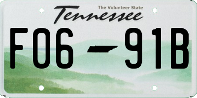 TN license plate F0691B