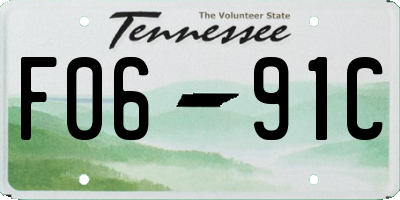TN license plate F0691C