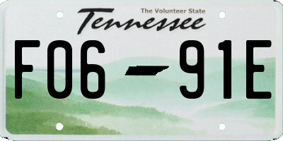 TN license plate F0691E