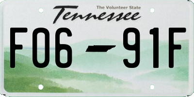 TN license plate F0691F