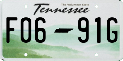 TN license plate F0691G