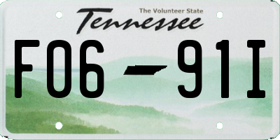 TN license plate F0691I
