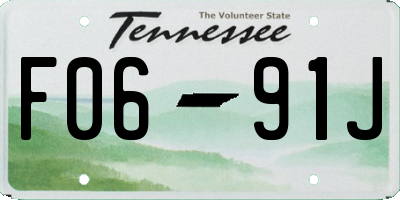 TN license plate F0691J