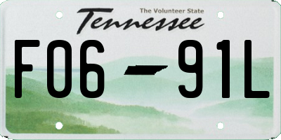 TN license plate F0691L