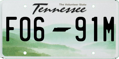 TN license plate F0691M