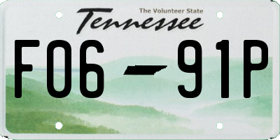 TN license plate F0691P