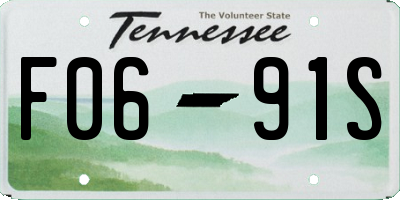 TN license plate F0691S