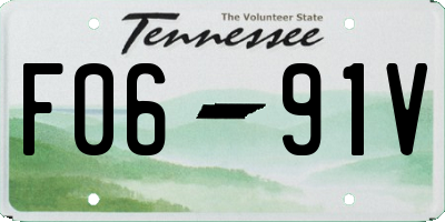 TN license plate F0691V