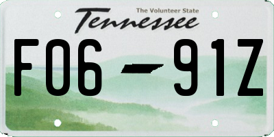 TN license plate F0691Z