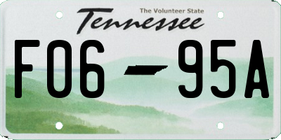 TN license plate F0695A