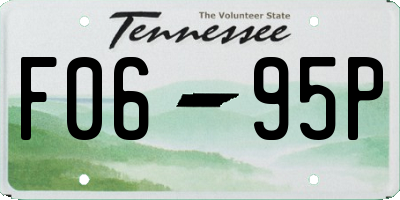TN license plate F0695P