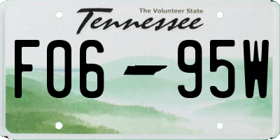 TN license plate F0695W