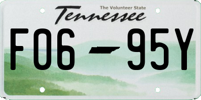TN license plate F0695Y